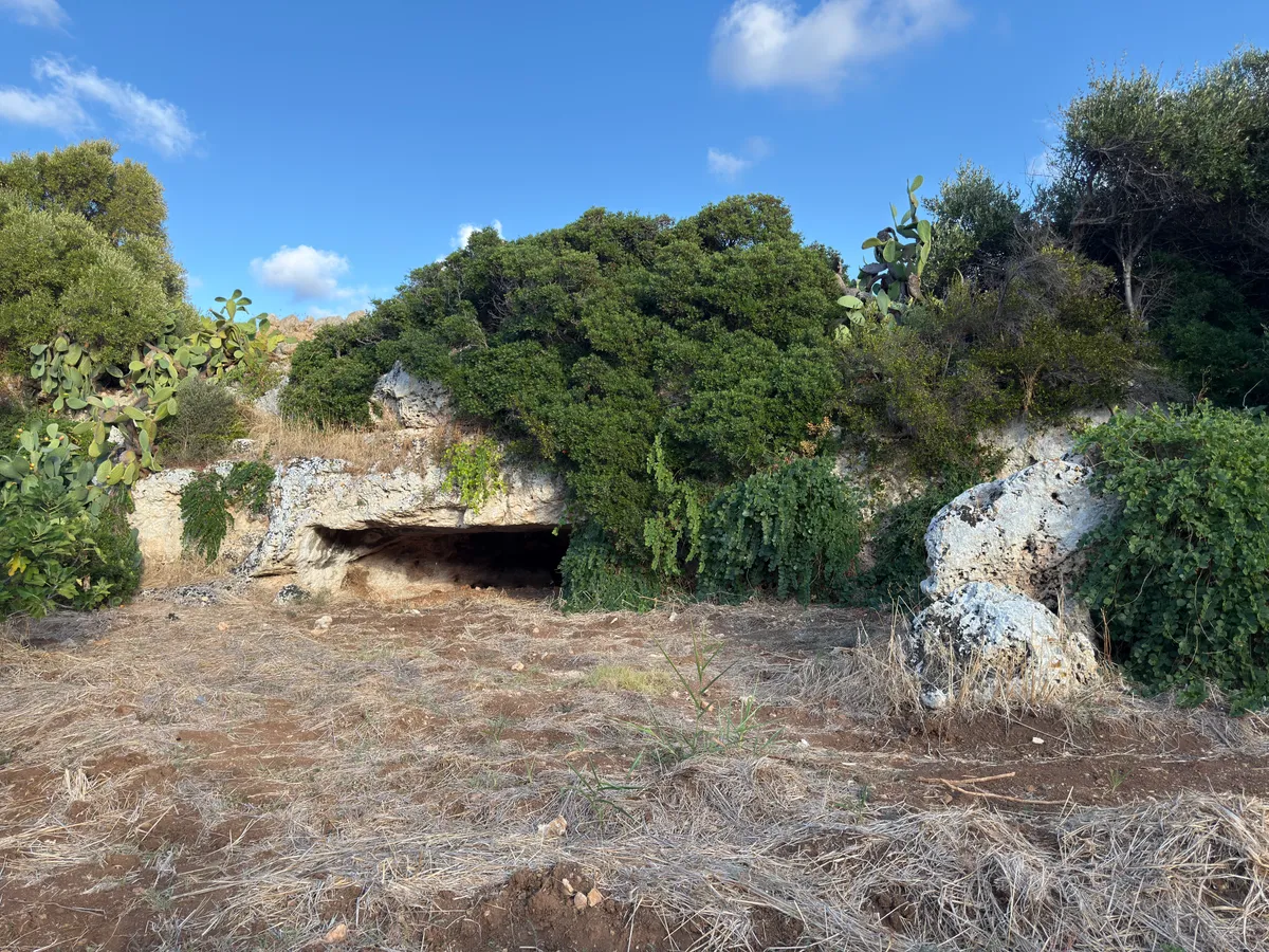 Costruzione in pietra a secco tra la macchia