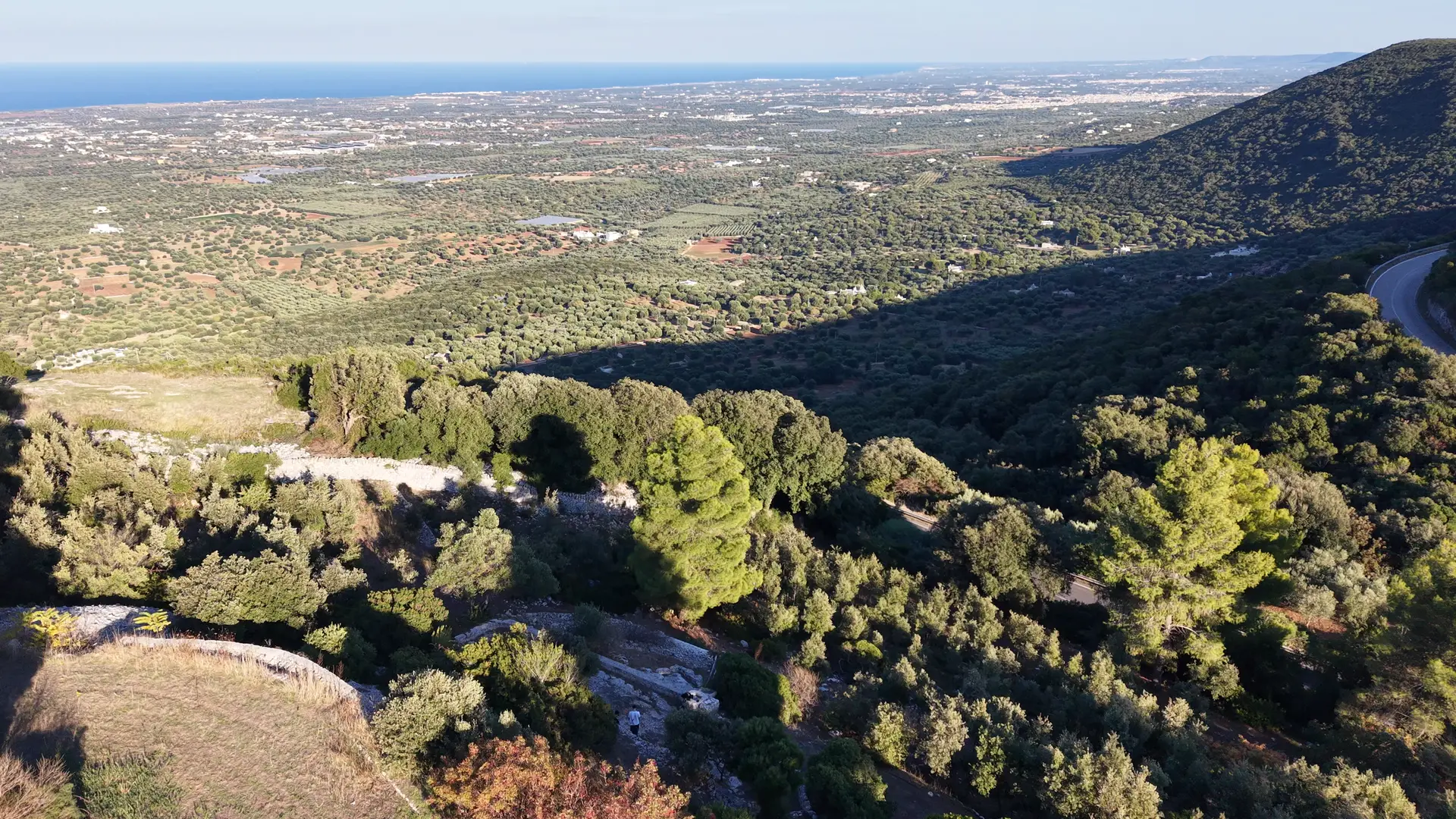 Il drone esce dal ciglio sopra la piana degli ulivi, con l’ombra lunga della scarpata.
