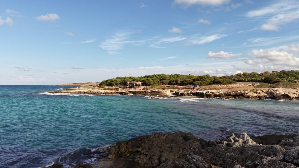 La costa di Cozze dal drone, 20 settembre 2026: fra le pietre e la macchia, i ciuffi di fico d'India.